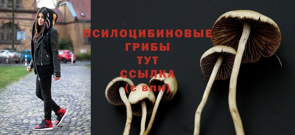 COCAINE Арсеньев