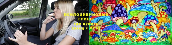 PSILOCYBIN Армянск