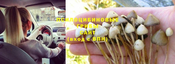 PSILOCYBIN Армянск