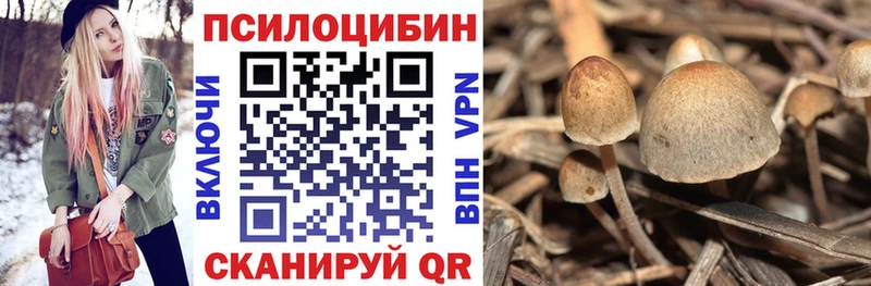 Псилоцибиновые грибы мухоморы  Купить закладки  Троицк 